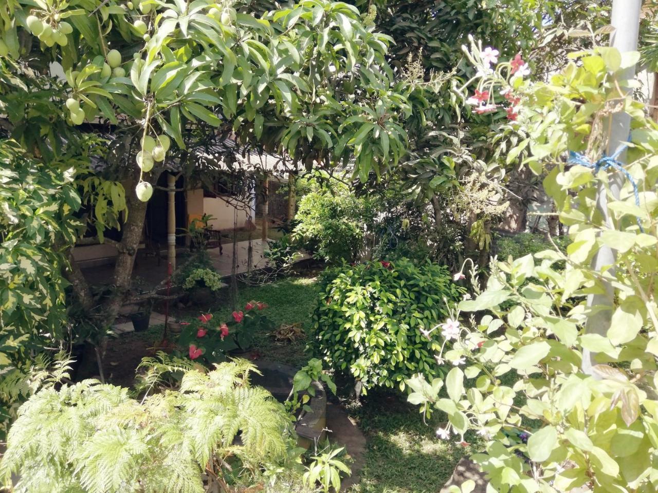 Nisadi Villa 本托塔 外观 照片